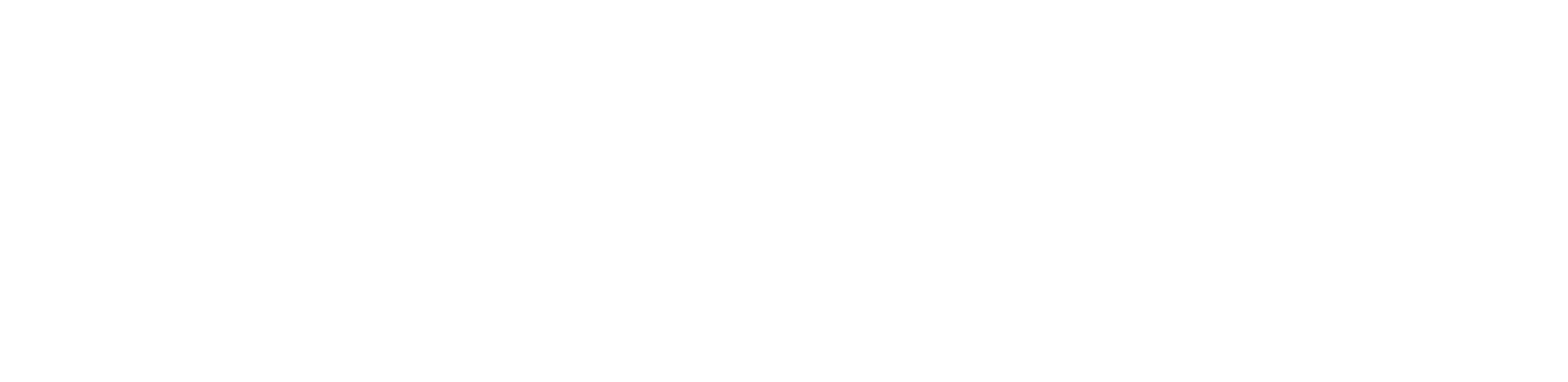 Parookaville