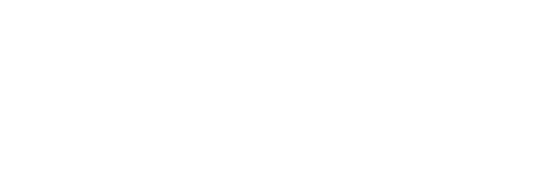 NOA Beach Club logo